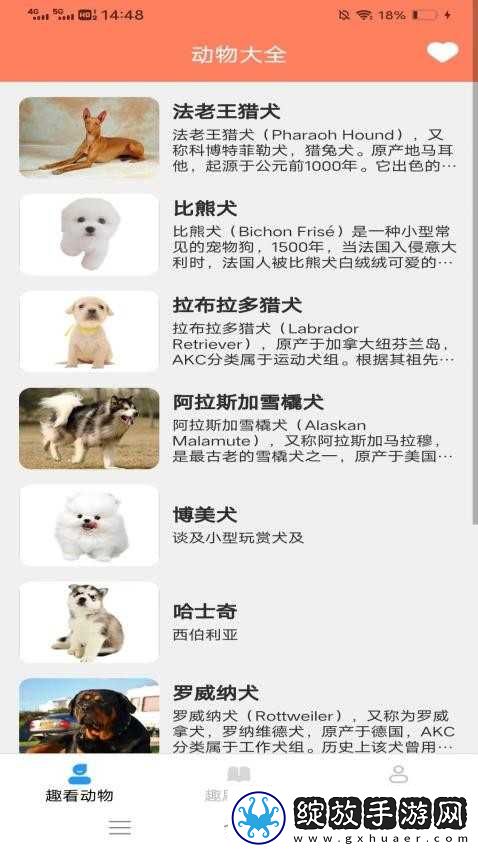 暴躁妹妹在线播放免费高清电视剧聊天版截图