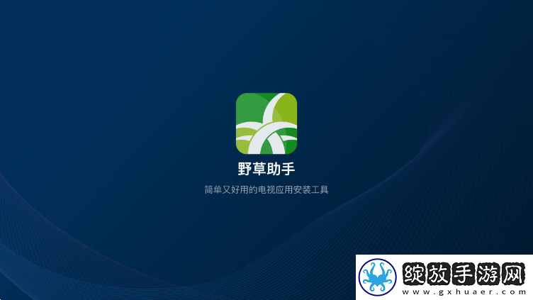 X0000XX000xXX后面填写什么低流量版截图