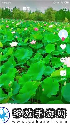 毛区二区3下载-毛区二区3下载